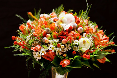 Similar image 2381692