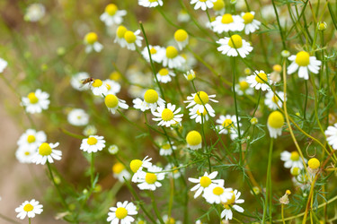 Similar image 2381699