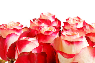 Similar image 2382022