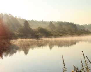 Similar image 2382025