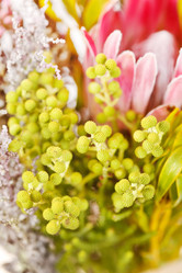 Similar image 2382069