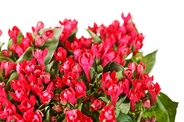 Similar image 2382070