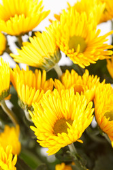 Similar image 2382074