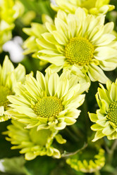 Similar image 2382076