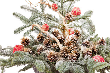 Similar image 2382086