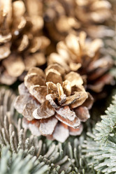 Similar image 2382087