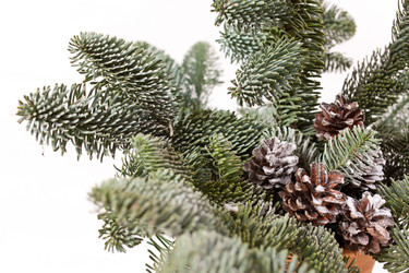 Similar image 2382088