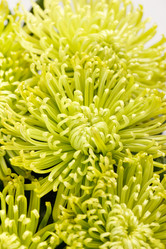 Similar image 2382187