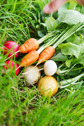 Similar image 2382192