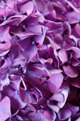 Similar image 2382200