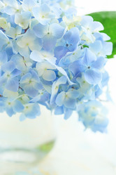 Similar image 2382265