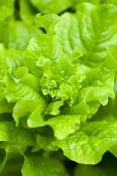 Similar image 2382275