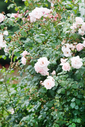 Similar image 2382279