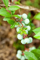 Similar image 2382283