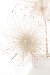 Similar image 2382286