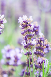 Similar image 2382323