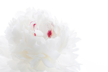 Similar image 2382361