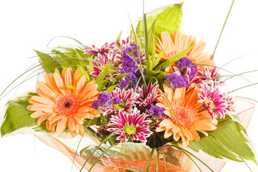 Similar image 2382367