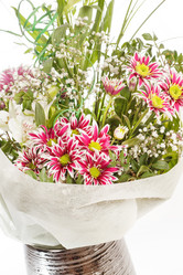 Similar image 2382369