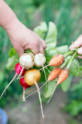 Similar image 2382370