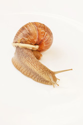 Similar image 2382377