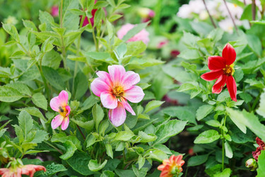 Similar image 2382419