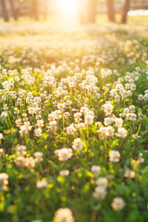 Similar image 2382431