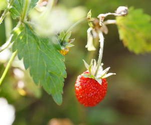 Similar image 2382432