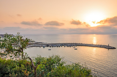 Similar image 2382495