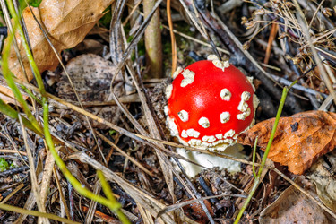 Similar image 2382499