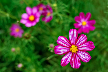 Similar image 2382504