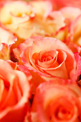 Similar image 2391452