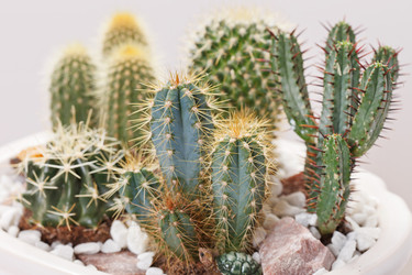 Similar image 2391457