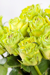 Similar image 2391460