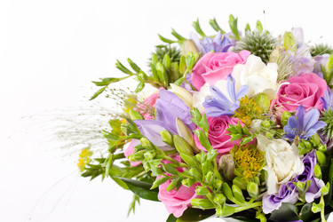 Similar image 2391465