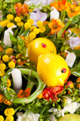 Similar image 2391469