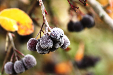 Similar image 2391612