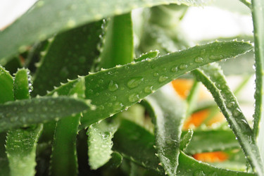 Similar image 2391613