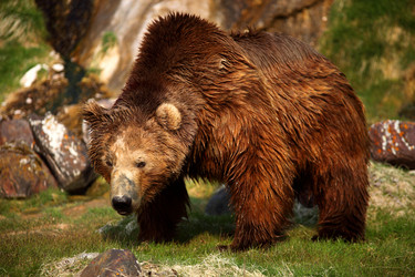 Similar image 2392146