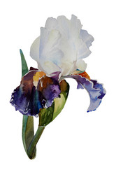 Similar image 2392264