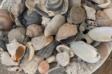 Similar image 2392275