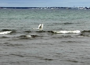 Similar image 2392455