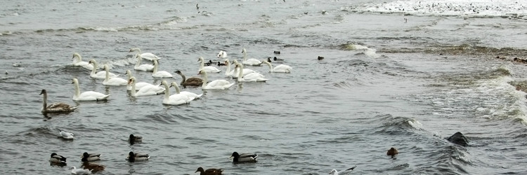 Similar image 2392460