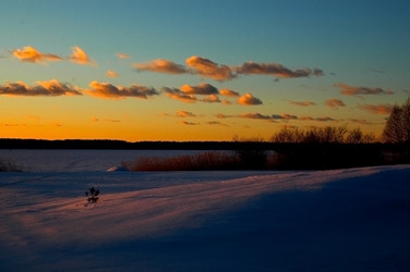 Similar image 2392461