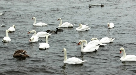 Similar image 2392469