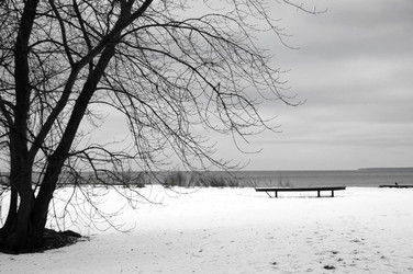 Similar image 2392473