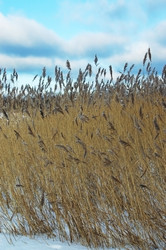 Similar image 2392474