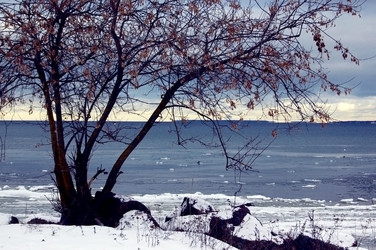 Similar image 2392477