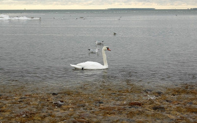 Similar image 2392478