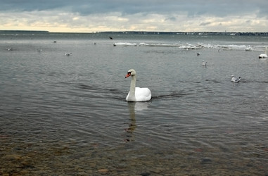 Similar image 2392479